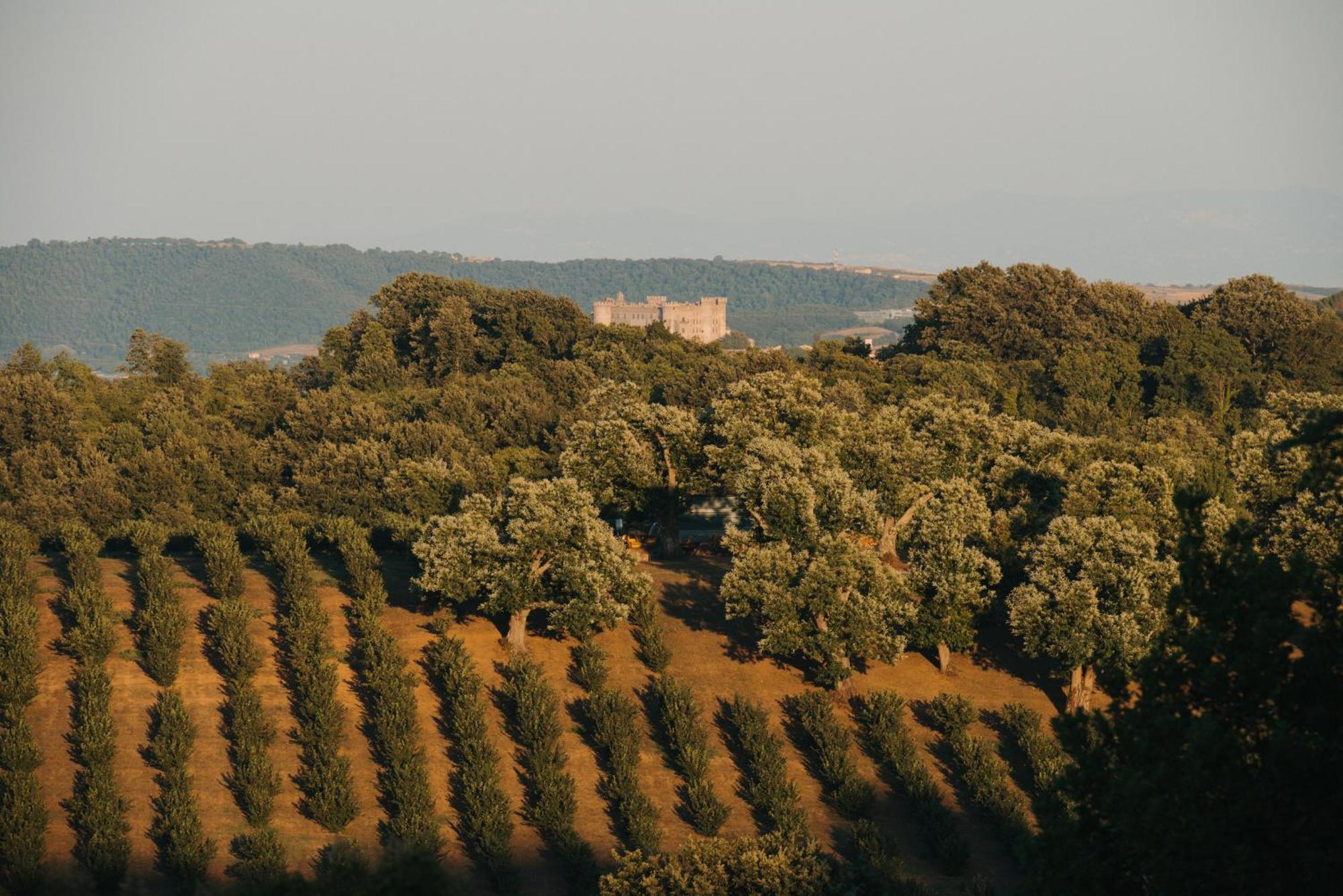 Villa Clodia Relais Manziana Екстериор снимка